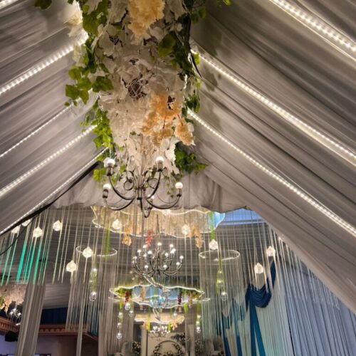 Galeri Dendro Florist Grup (2) Galeri Dendro Florist Grup (2)