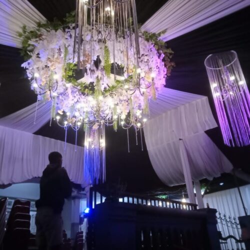 Galeri Dendro Florist Grup (29) Galeri Dendro Florist Grup (29)